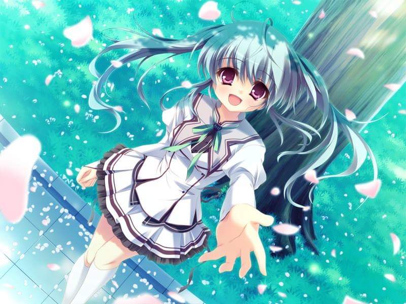 キャラクタースリーブ/ましろ色シンフォニー/瓜生桜乃/65枚/未 キャラクタースリーブ/ましろ色シンフォニー/瓜生桜乃/65枚/未