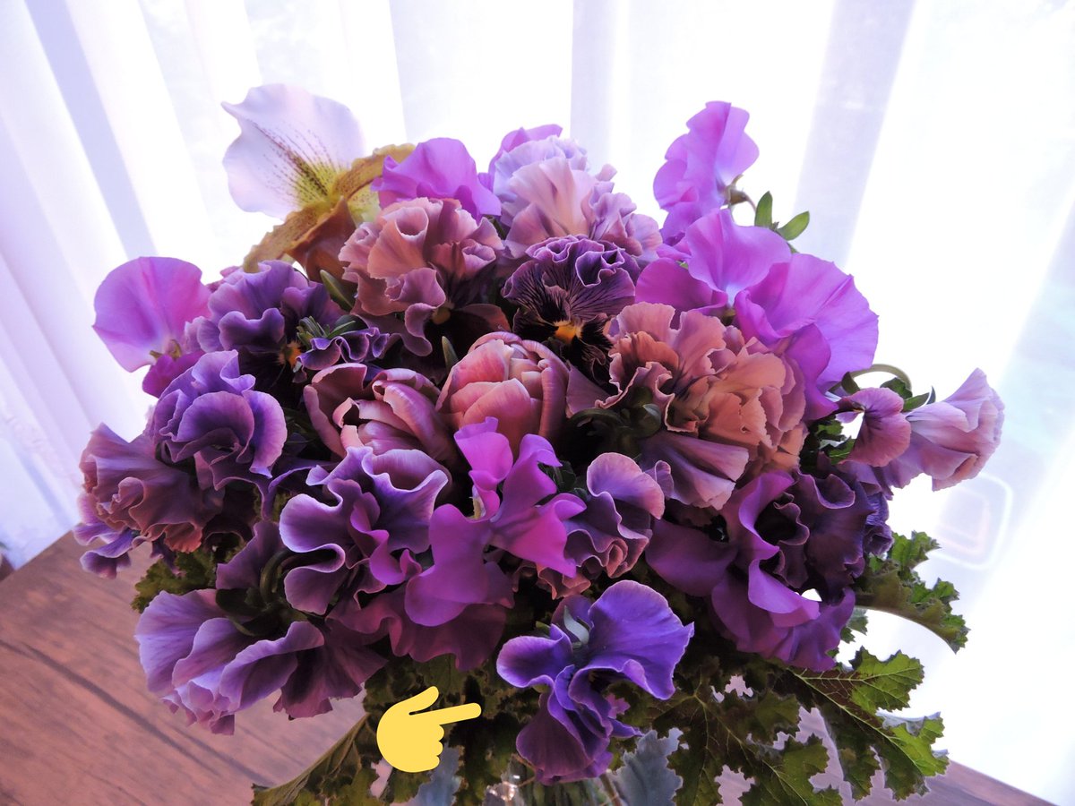 花彰 紫を愛でる心はステキです 花業界の表記はなぜかスイトピーなんですがスイートピーで合ってます マメ科なのでpeaはエンドウの意味だった気が スイートピー以外のヒラヒラは全て切花用のパンジーですね あとはチューリップとパフィオ 花彰 紫を愛でる心はステキです 花業界の表記はなぜかスイトピーなんですがスイートピーで合ってます マメ科なのでpeaはエンドウの意味だった気が スイートピー以外のヒラヒラは全て切花用のパンジーですね あとはチューリップとパフィオ