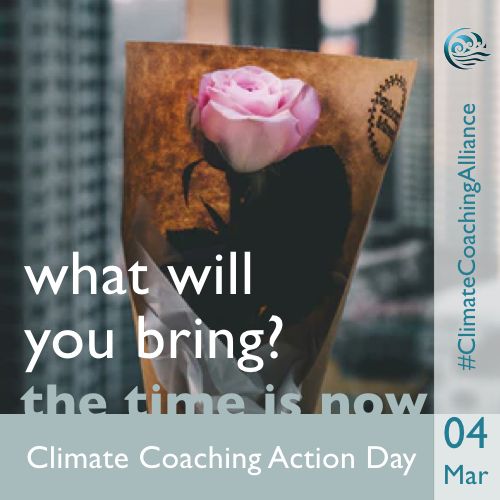 ClimateCoaching's tweet photo. A talk? A workshop? A mindfullness session? What will you bring to the #ClimateCoachingActionDay ? #CCA24hr https://t.co/0azVIxXC9I