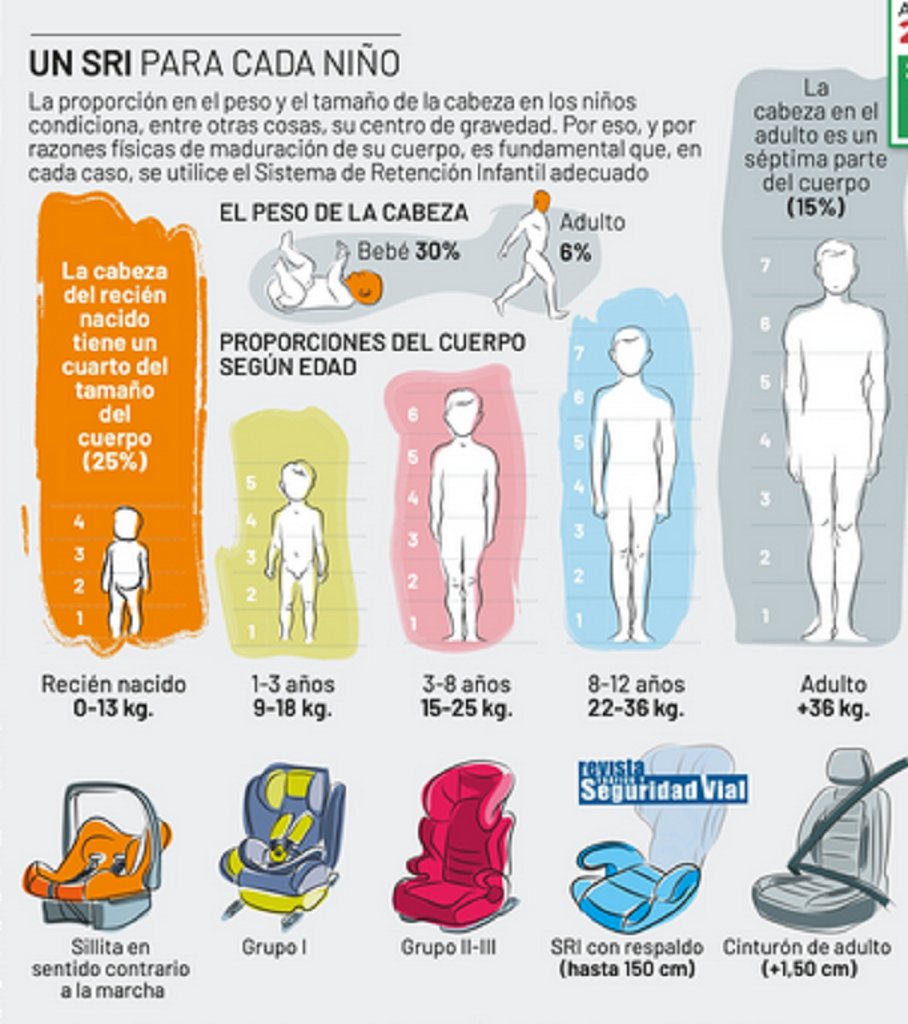 Humildad Uva Indígena Dir. Gral. Tráfico on Twitter: "Las diferencias entre recién nacido (cabeza 25% de su tamaño) y niño de 12 años (proporción próxima a adulto) implica usar sillitas #SRI diferentes. Muy importante elegir Humildad Uva Indígena Dir. Gral. Tráfico on Twitter: "Las diferencias entre recién nacido (cabeza 25% de su tamaño) y niño de 12 años (proporción próxima a adulto) implica usar sillitas #SRI diferentes. Muy importante elegir