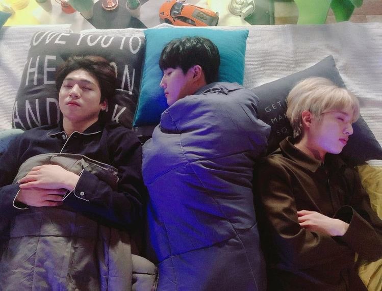 Here they are adorably sleeping side by side 