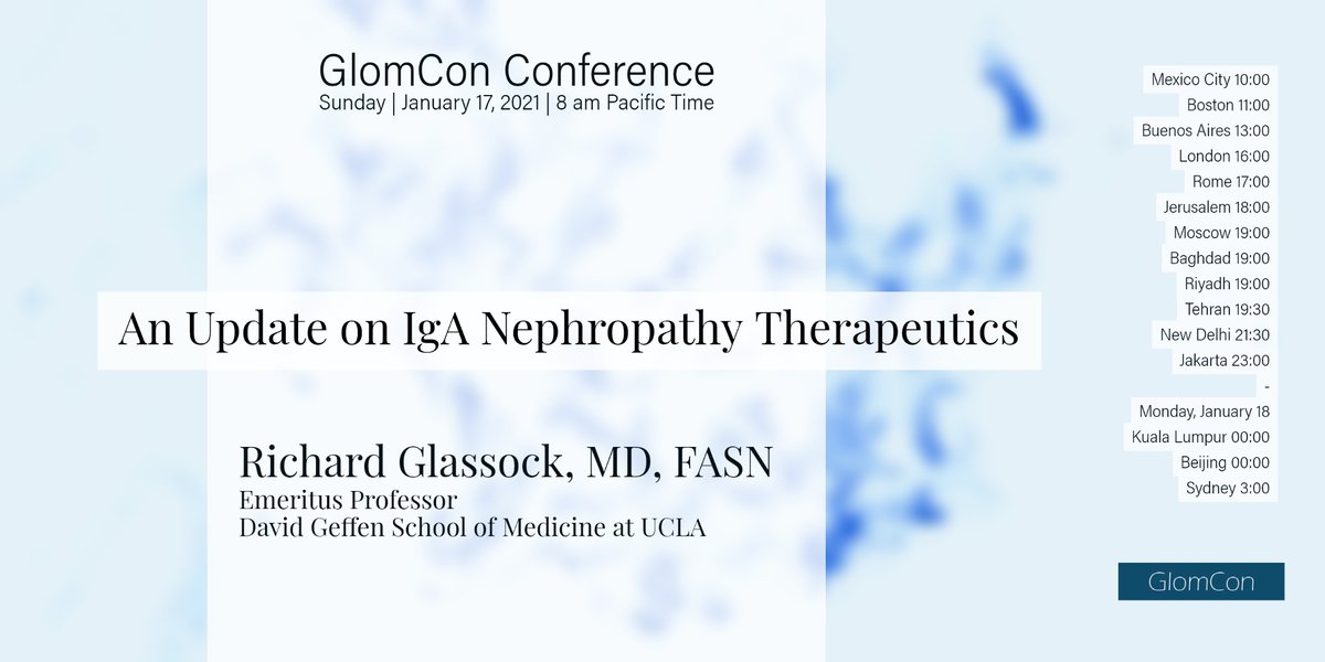 An Update on IgA Nephropathy Therapeutics

by Dr. Richard Glassock

#glomcon #nephforward

youtu.be/VoU9QW12SlU