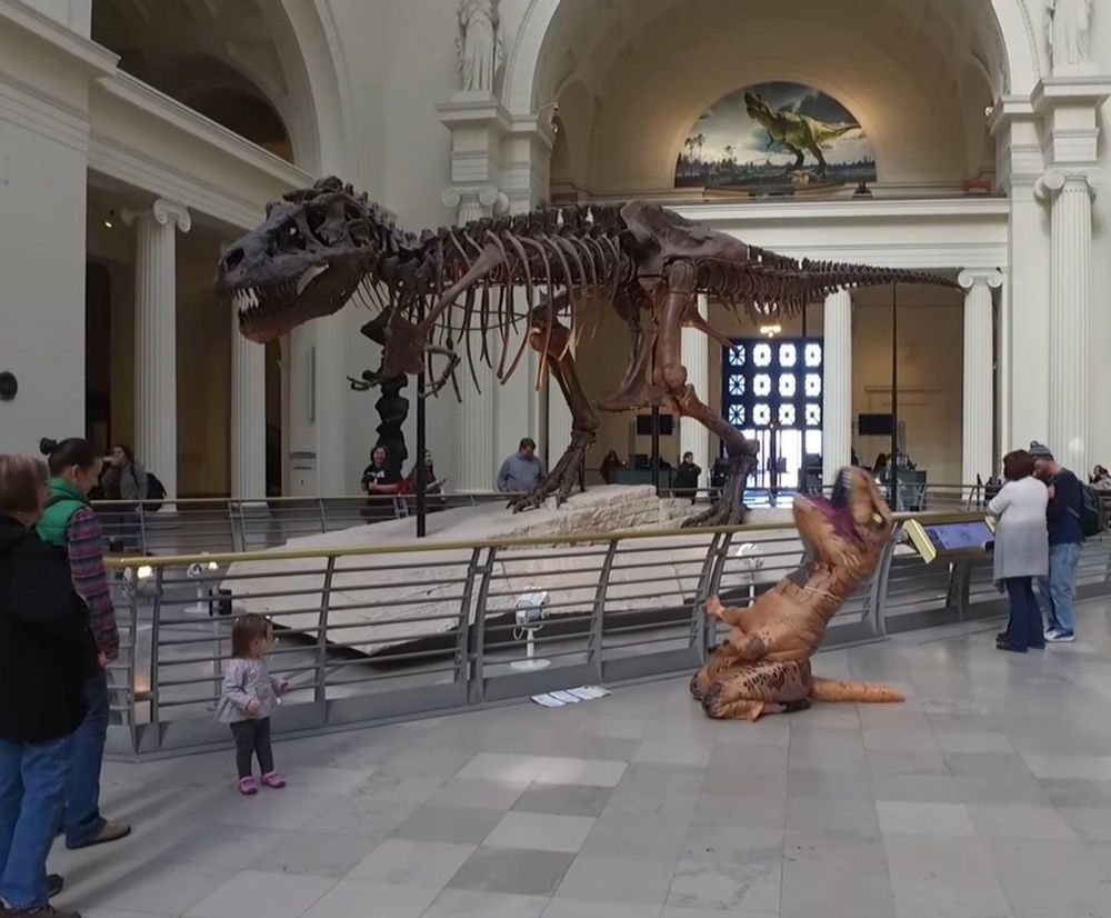 bighwanjang1's tweet image. 