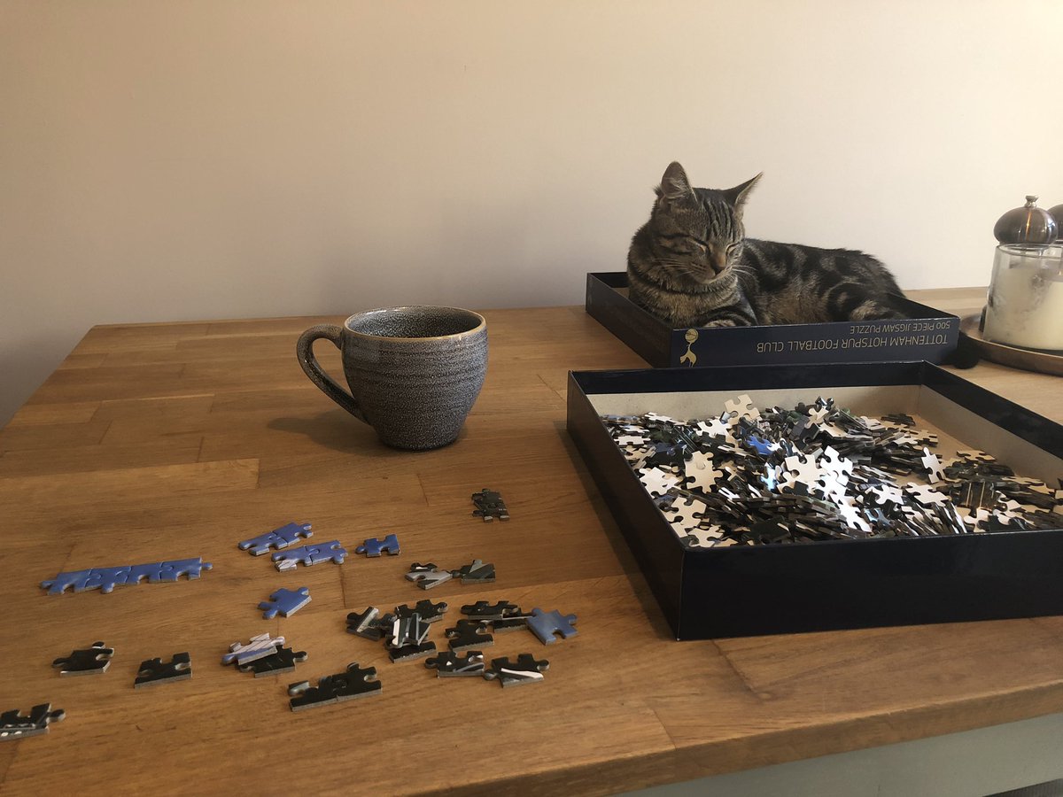 Lockdown Saturday activities... under close supervision from Dennis - until he fell asleep on the job.  (of course he loves the box) 🧩