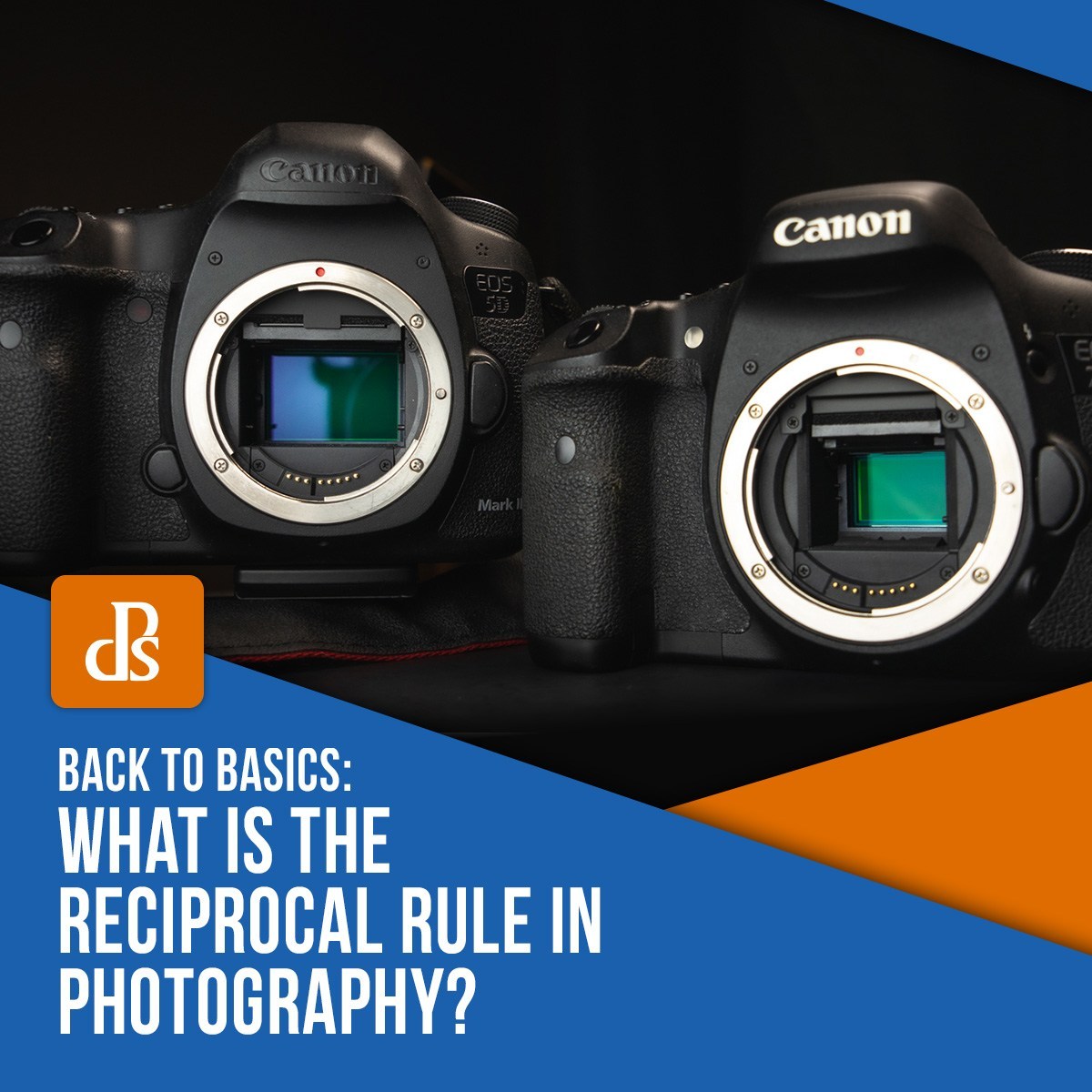 digitalps's tweet photo. What is the Reciprocal Rule in Photography? (And How to Use It)

👉 https://t.co/4FJNLJhdz2 https://t.co/fY4TySZ3fl