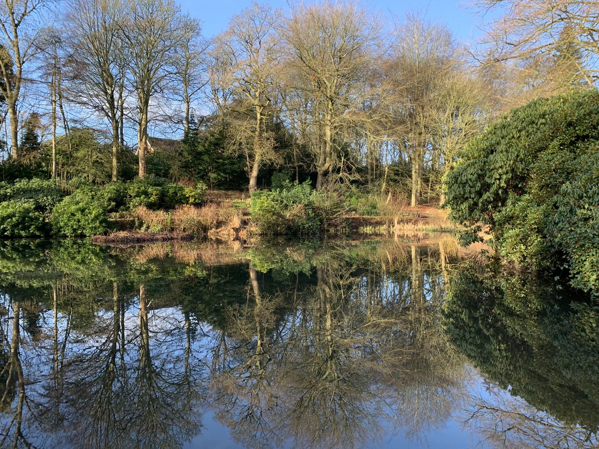 Reflections courtesy of ⁦@NTWightwick⁩