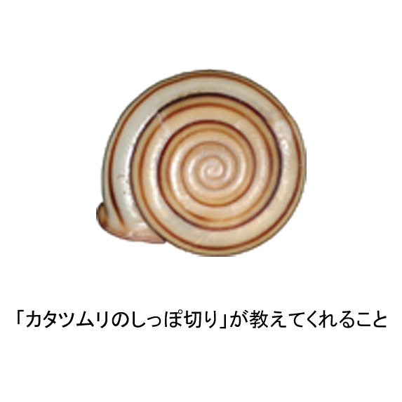 カタツムリのtwitterイラスト検索結果 古い順