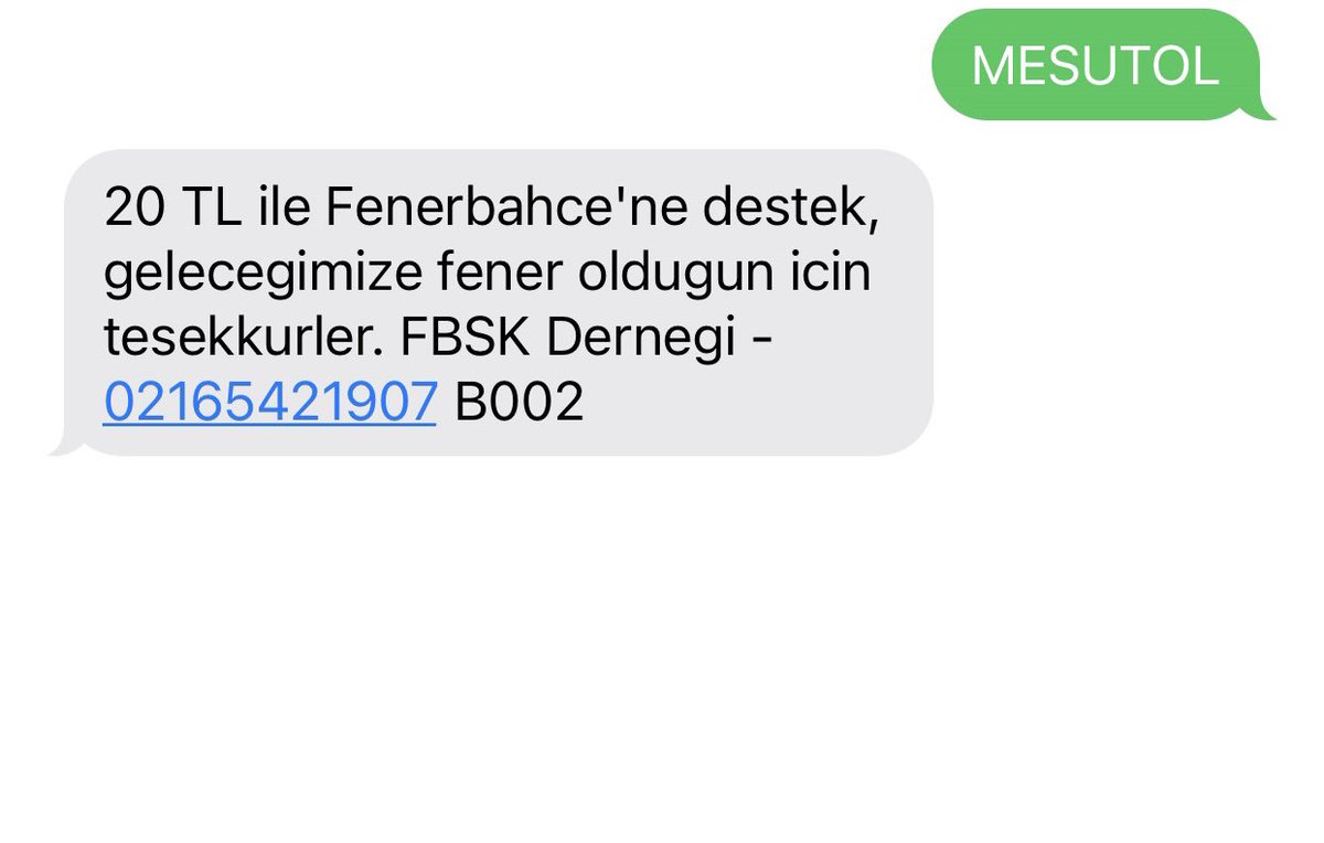 @Fenerbahce MESUTOL