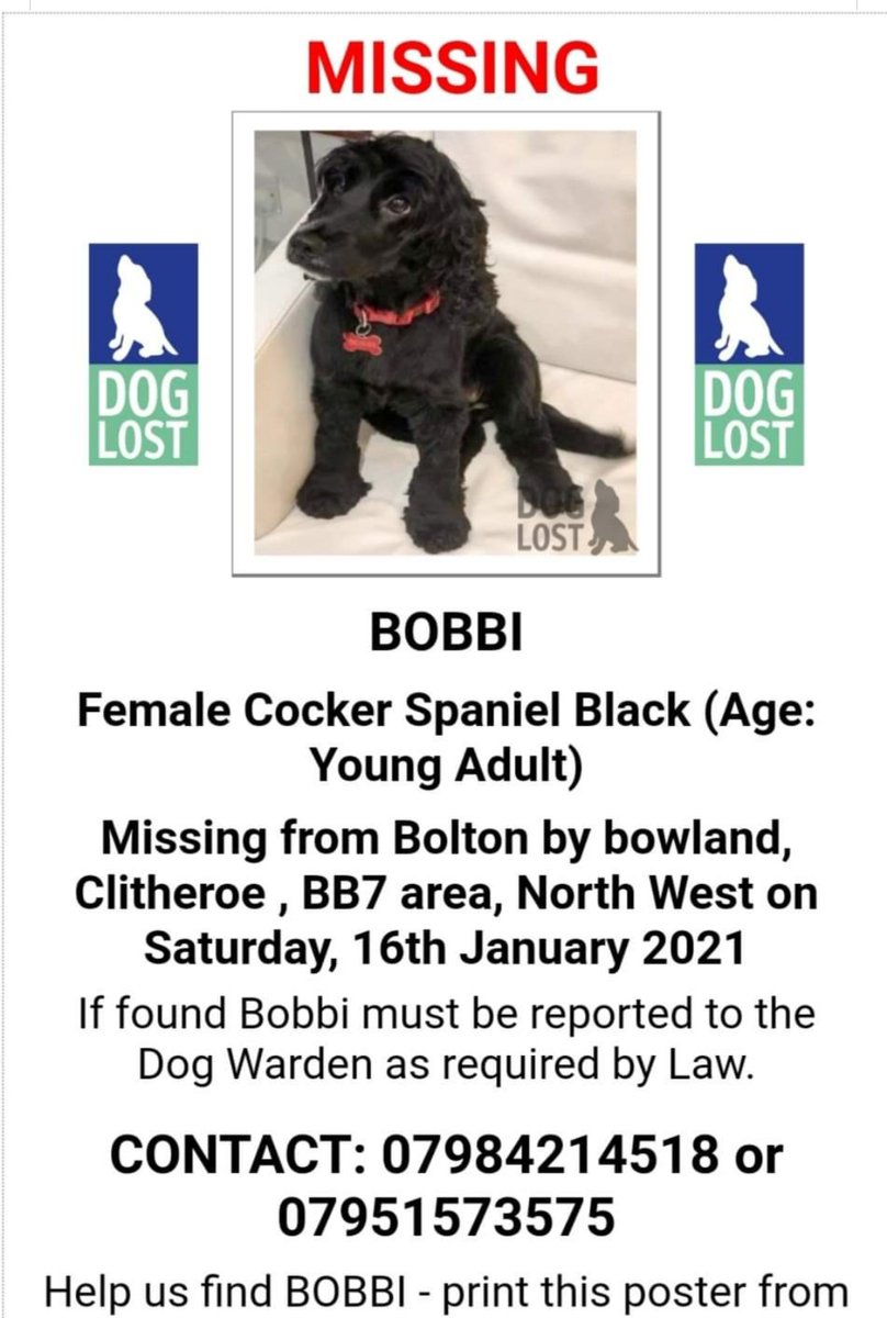 This dog went missing from Bolton by Bowland Please everyone in the NW that follows Parkers retweet. Huge ongoing effort trying to trace her. Thank you  pic.x.com/gmNfyTn1hf