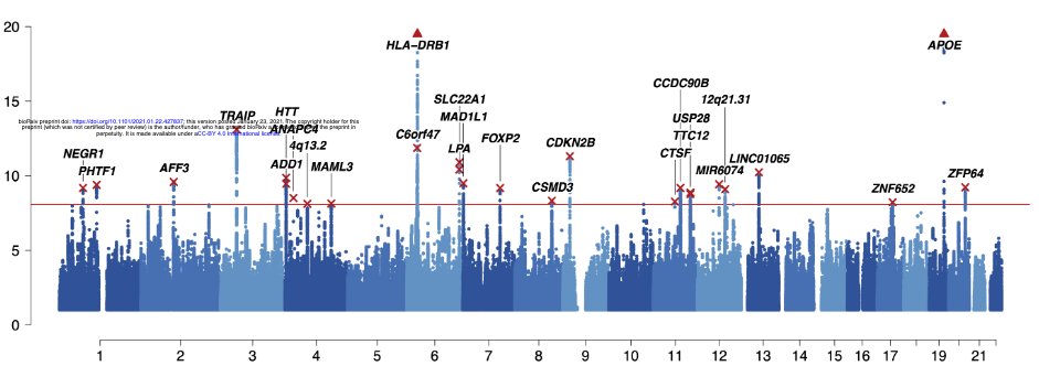 Interesting GWAS of human ageing based on PCA analysis of multiple ageing phenotypes (mother and father life span, longevity etc.)  https://www.biorxiv.org/content/10.1101/2021.01.22.427837v1