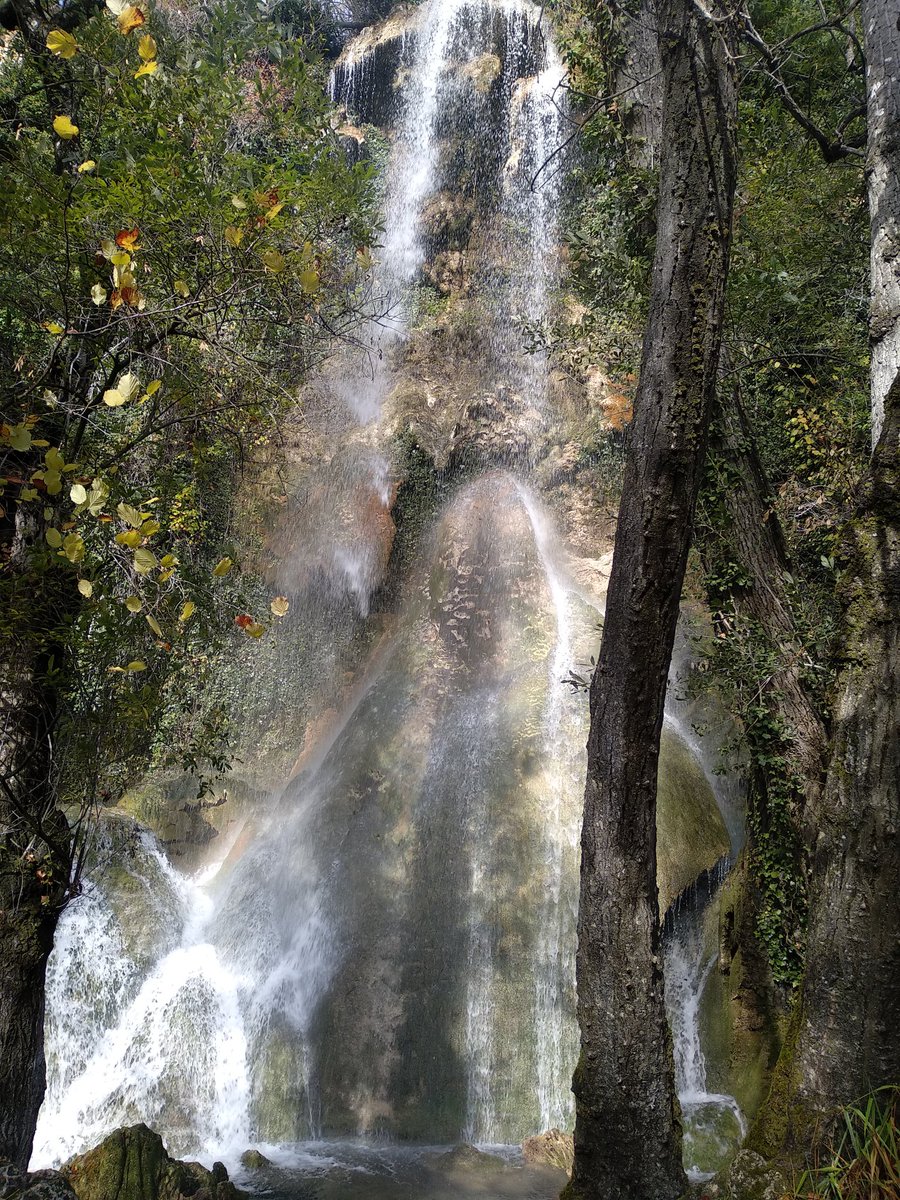 SoriaPatrimonio tweet media