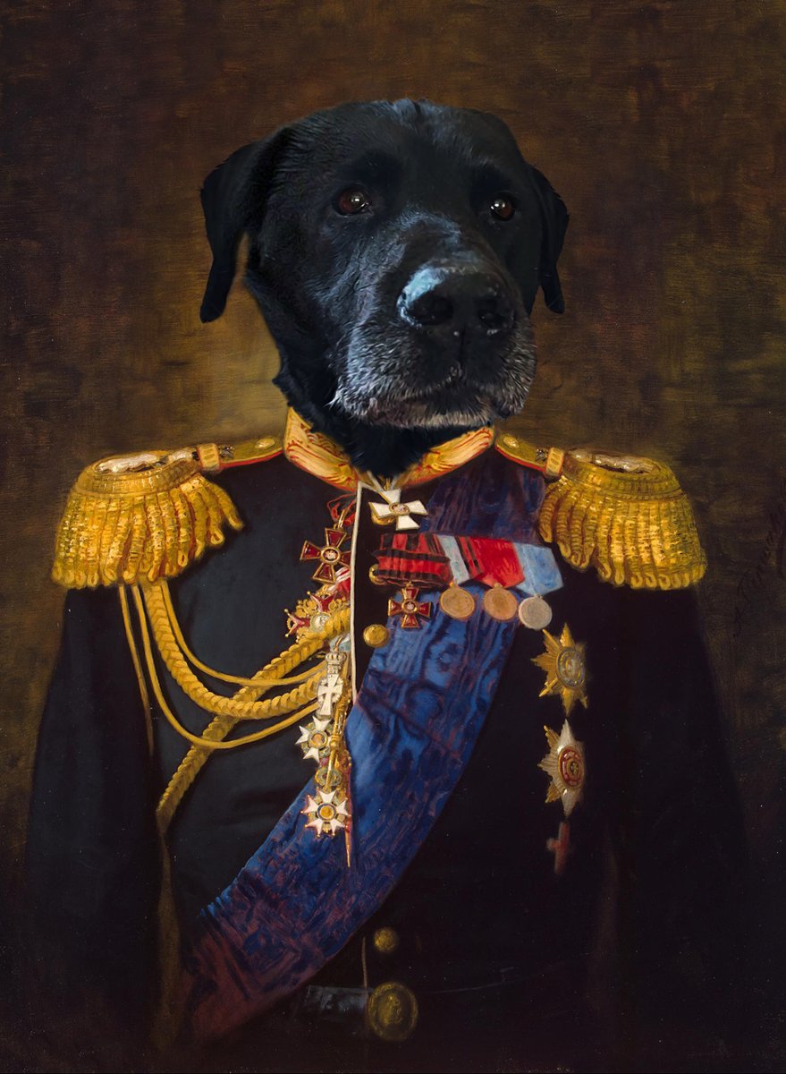 Billy in an Admiral outfit. <a href="/RoyalCatsDogs/">Royal Cats & Dogs</a> <a href="/TheGoodDogGuide/">The Good Dog Guide</a>  #petsbiz #dog #dogs #pets #instadog #instadogs #ilovemydog #cat #cats_of_instagram #catoftheday #london #prettycat #gift #dogartist #therapydog #NHSthankyou #stayhomesavelives #healthathome