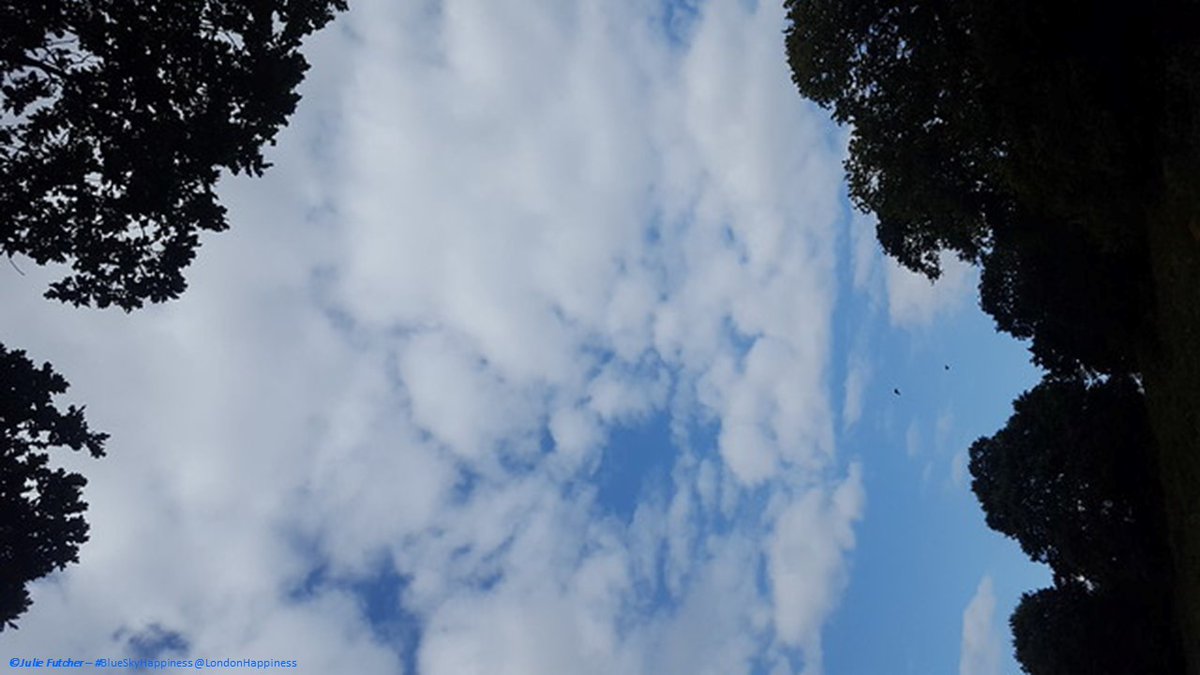 LondonHappiness's tweet photo. @LesleyAM13 @RadioLento @ThamesPathNT @LondonNPC indeed the theme of our collective #Citizen Art project How even a glimpse of sky However momentary Can make us feel better It’s about our #LoveOfSky SO please # photos/sketches/sounds #BlueSkyHappiness so together we can generate our #HappinessMap so everyone can see #blueskies https://t.co/7WTX7K82Bu