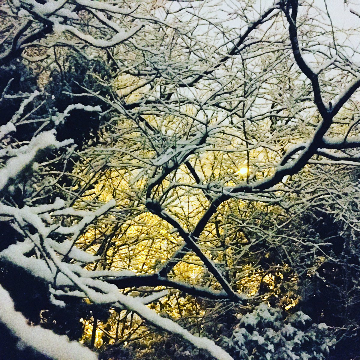 Kirsteen_Art's tweet photo. #art #peace #live #create #aesthetic #happiness #purpose #kirsteenart
#unquitart
#kirsteenart
#artdreamsgallery
#enchantedtextiledesign
#artistmummy
#kirsteenlyonsartist
#kirsteenlyonsdesigner
#digitalnomad
#patterndesign
#textiledesign
#vanlife
#art
#painting
#travel https://t.co/6EYuBQtdpg