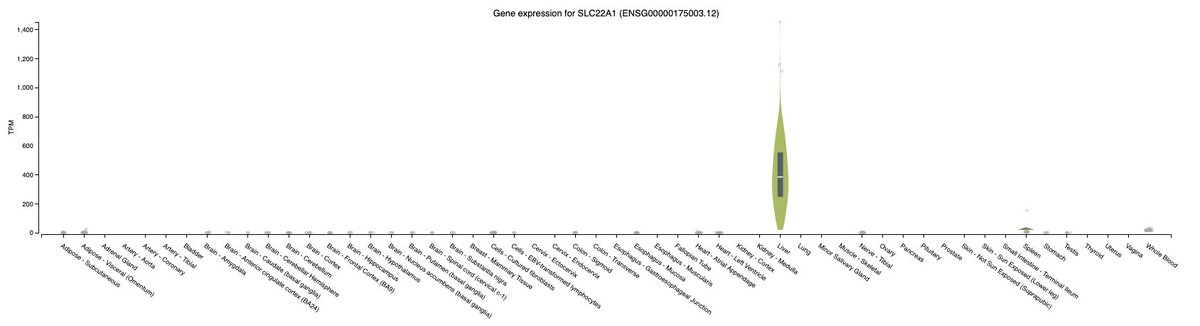 The gene SLC22A1 popping out as the largest effect hit is really interesting. It's a major drug metabolizer gene (particularly metformin) and is expressed ONLY in liver.