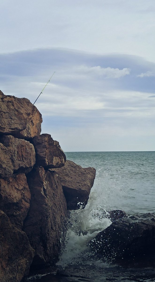 JudithPer_'s tweet image. mareada