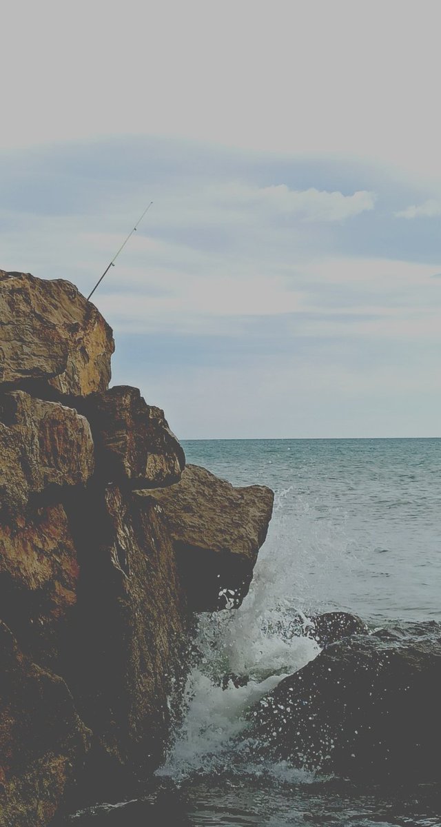 JudithPer_'s tweet image. mareada