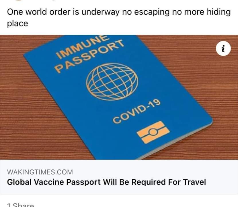 NicheCreature's tweet photo. Imagine! ... could this be true? https://t.co/mDE9ZGdN5l