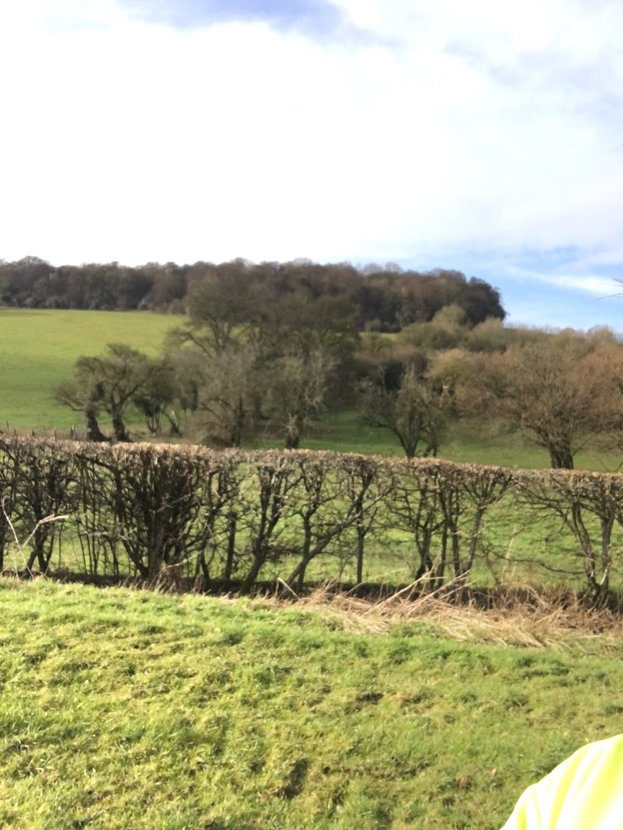 sprod_karen's tweet photo. Legs of lead after PT session with Chris this morning. So going for a 5K run was exactly the right thing to do ๐ More miles off my 50 mile target for @MaggiesCentres Oxford. Still a way to go ... #Fly5k #NursingYou https://t.co/bdhR4oCaHA