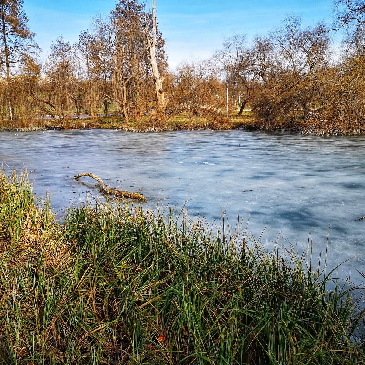 Traveltoland1's tweet photo. Tineretului Park Bucharest
https://t.co/BqCaON3pIc
#traveltoland #România #romaniainpics #exploreromania #visualromania #europestyle #gooutromania #travelanddestination   #gorgeousromania #natureshots #bucharest #discoverbucharest #bucuresti #park #romania #winterdays https://t.co/lQnHmAL9iz