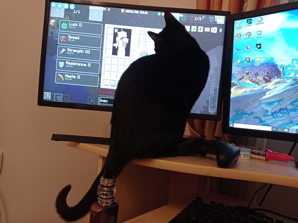 SiNe_46's tweet photo. @iskall85 meet Ares. He loves to see you vault hunt with me! https://t.co/KfZldfwEah