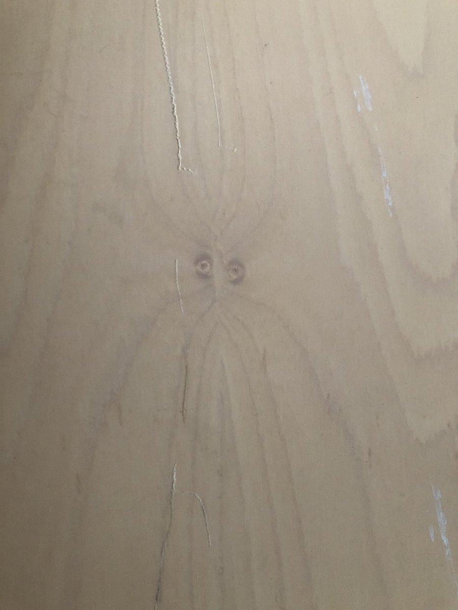 Lise Witfelt tweet media