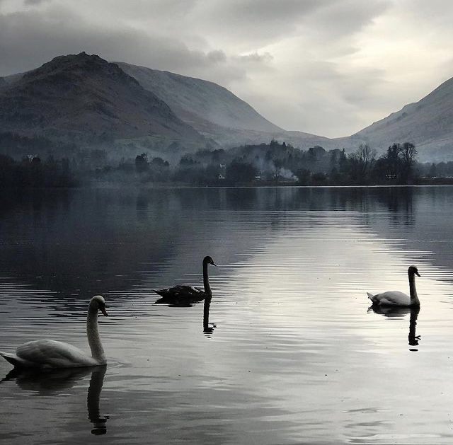 PhotographyAcad's tweet photo. #StudentSpotlight: Stunning captures of nature by #BAPHstudent Zarah Sanderson. 📷
Check out more of her great work: https://t.co/3fHUNscIOf

#naturephotography #lakedistrict #photographystudent #dogphotography #blackandwhitephotography #BAPH https://t.co/cFudhAPu7C
