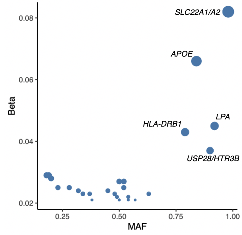 One striking observation in this plot is there seems to be no evidence for negative selection for these hits as the allele frequency for most of these hits are large. This is a nice demonstration that they are all linked to late onset diseases and are not under selection.