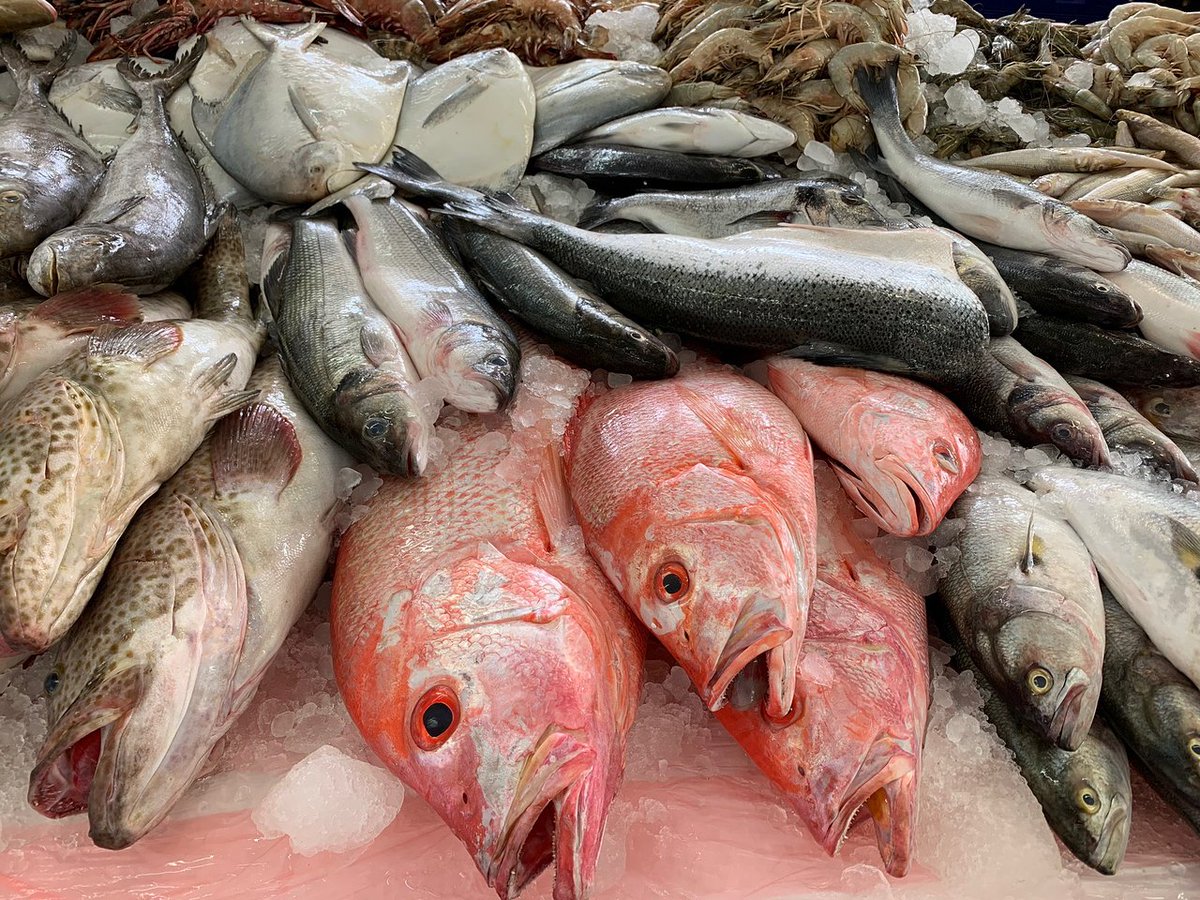Why I am disgusted by the human species.Speciesism Part 2: Marine LifeIt is estimated that up to 3 trillion fish are caught from the wild & killed globally every year: This doesn’t include the billions of fish that are farmed. Fish account for 40% of animal products consumed