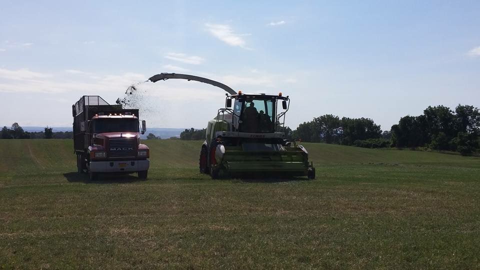 TYWISELEY's tweet photo. Our first Fox self propelled chopper in 1979 to our most recent Claas taken in 2019 https://t.co/ZQA4pYgpnm