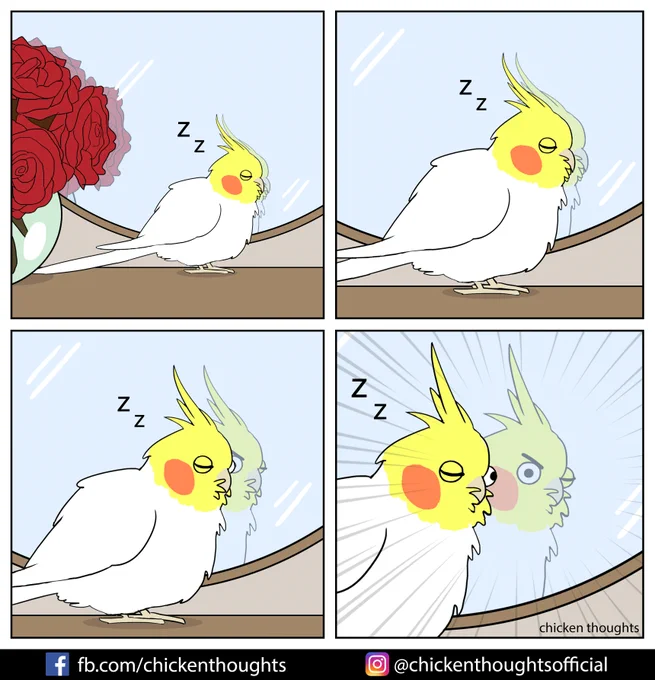 Did you know that birbs can sleep with one eye open and half of their brain awake? It allows them to watch out for predators (or annoying humans). 