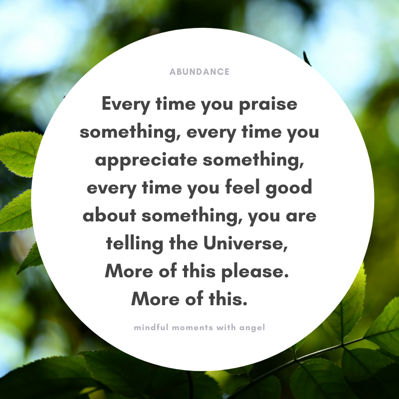 fitfunctionlife's tweet image. 