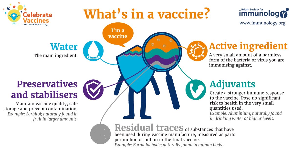 It can be confusing trying to decipher great long lists of stuff that's in a vaccine Largely because manufacturers list everything even down the fact fact someone wore latex gloves in the lab while filling in a form one afternoon, to be comprehensive.) This is a simply graphic