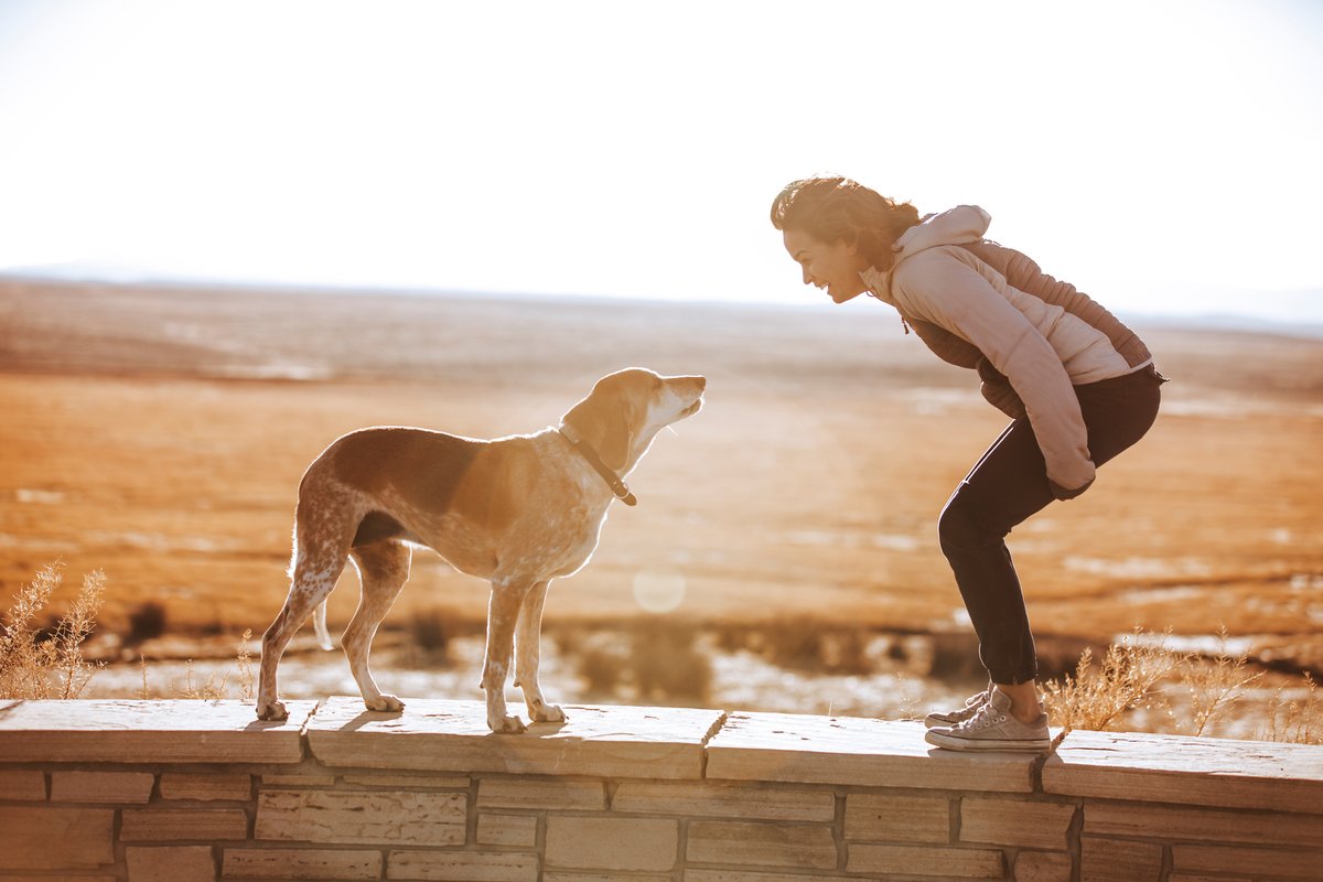 Being a pup parent brings endless moments of joy, entertainment and companionship. Were you aware your dog can make your life healthier too? Read on for more reasons to love your fur baby (as if you needed any). 
bit.ly/DogsOptimizeHe…