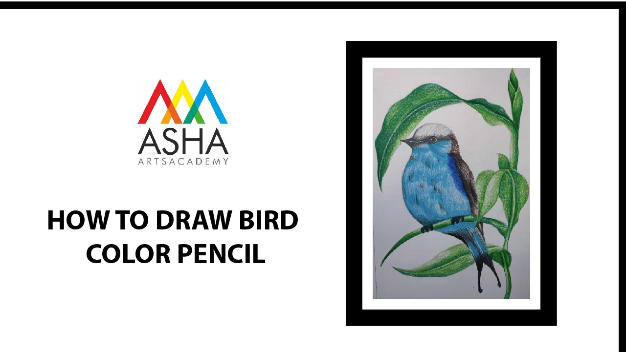 How To Draw A Bird With Pencil, Drawing