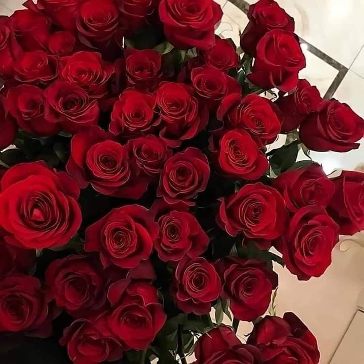 Reham30601's tweet photo. ❤️🌹 https://t.co/YuKHyjHvod