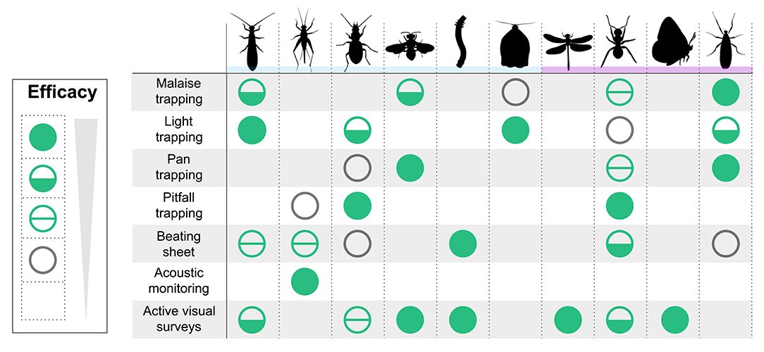 Alexandra-Maria Klein tweet media