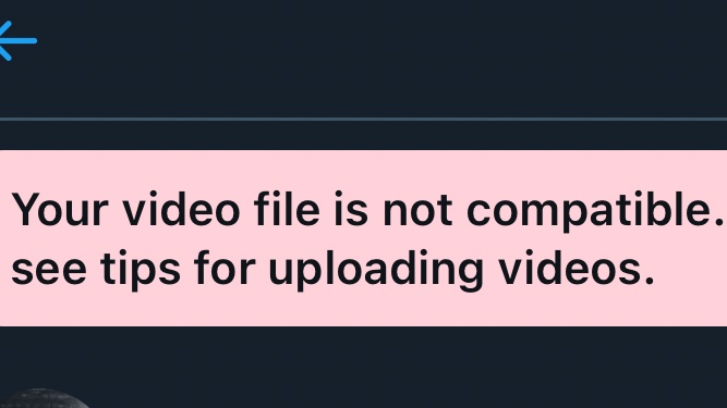 ʙʟᴀɴᴋ sᴛᴀʀᴇ tweet media