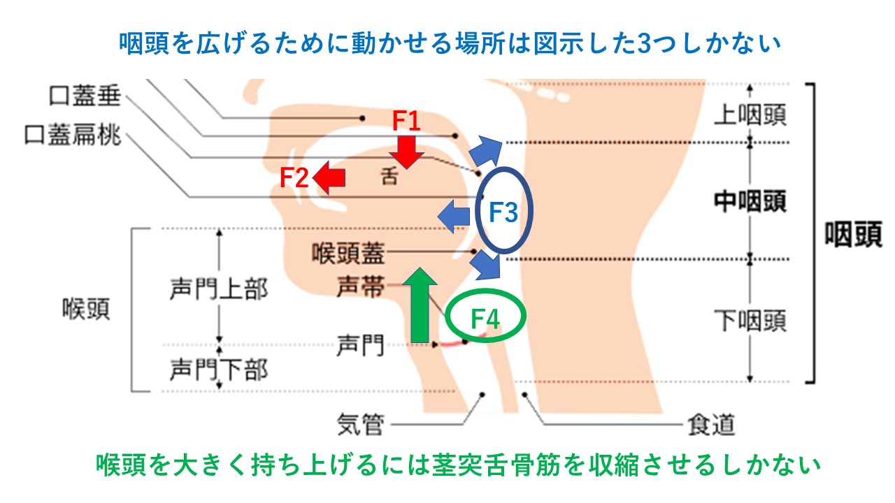 すきえんてぃあ 書け 誰も教えてくれなかった女声の出し方の本質情報です T Co Aeesg7ibmq Twitter