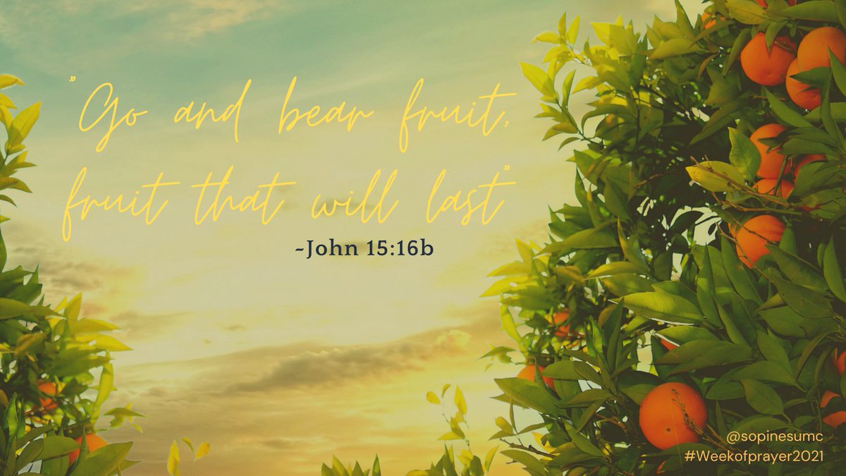sopinesumc's tweet photo. #BearFruit #FruitOfTheSpirit #PrayWithUs #AbideInMyLove #WeekofPrayer2021 #HeChooseMe #AbideInMe #LoveOneAnother #GospelOfGrace #StudyWithUs #SpreadTheWordNotGerms #DoGood #BeKind #WalkInHisName #ActofLove #LoveThyNeighbor #MaskUp #ConnectWithUs #WeAreTheChurch #SoPinesUMC https://t.co/VxhtPhLtE9
