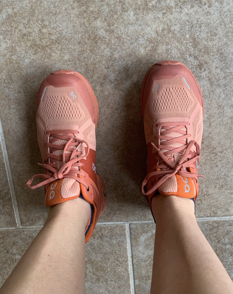 Sheilah Emilie Oltmans tweet media