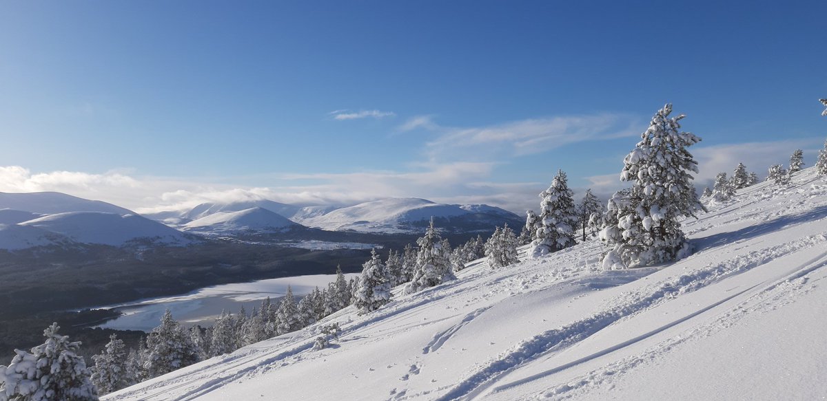 Sallyaviebikes's tweet photo. Few runs in Aviemore's alternative ski resort before work today...#buzzing #lovewherewelive #treeruns https://t.co/AByoVaJ8Bh