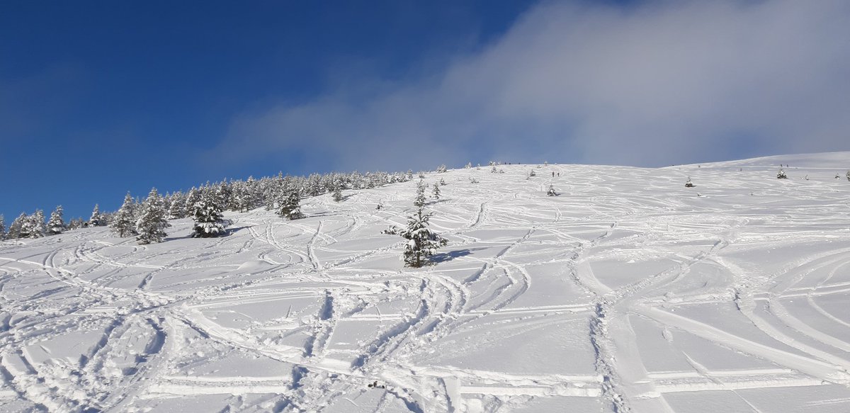 Sallyaviebikes's tweet photo. Few runs in Aviemore's alternative ski resort before work today...#buzzing #lovewherewelive #treeruns https://t.co/AByoVaJ8Bh