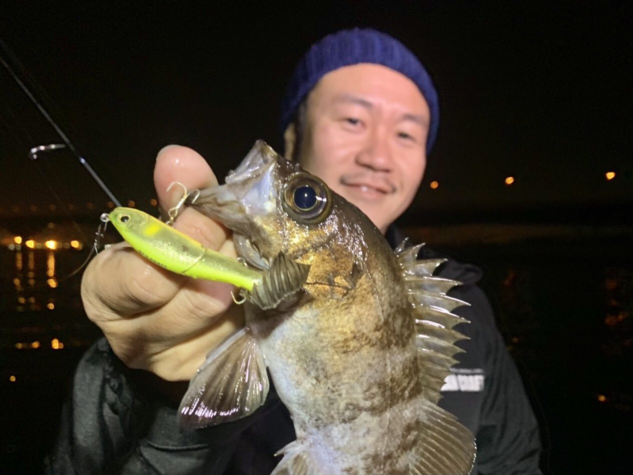 いわっち 岩本 佳之 ジョイクロ70のメバルゲームはこれから広がって進化するやろうなぁ カラーやタイプ以外に チューニングを施すことでトレースレンジ アクションやアピールレベルなど別物になる 使った人がどんどん可能性を見出し進化していくのが