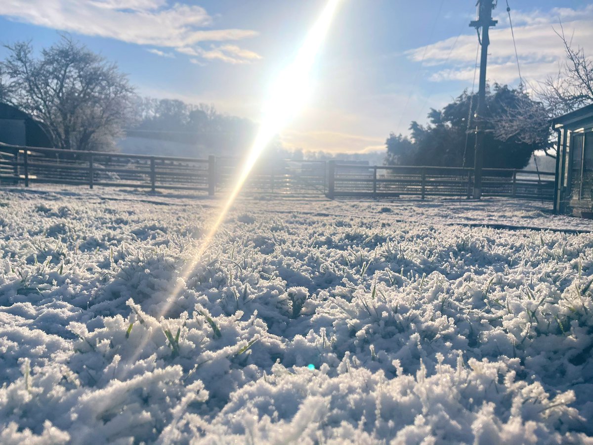 ClearViewStud tweet picture