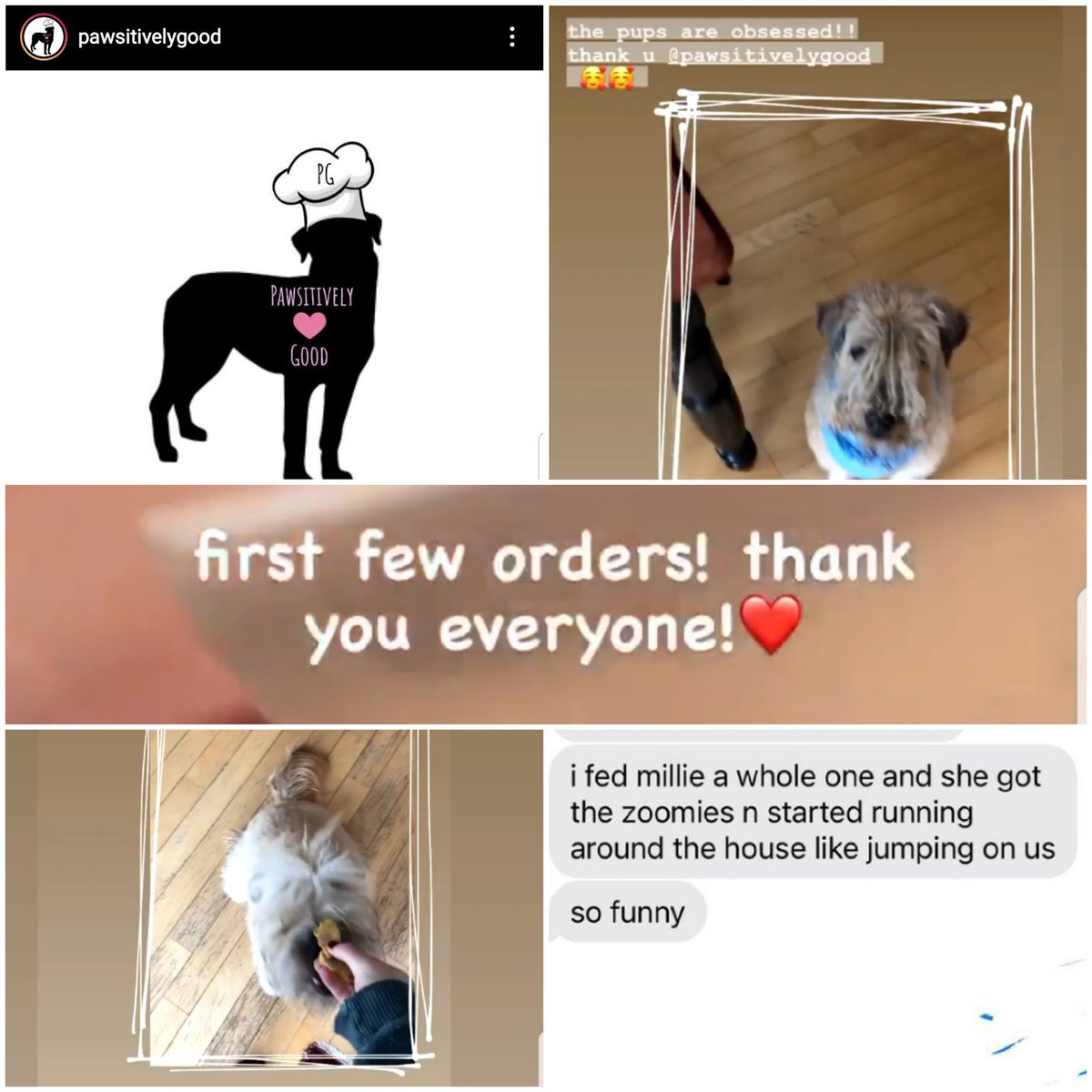 PLACT_74's tweet photo. First orders have been delivered...and tails are reportedly wagging!
Check out PawsitivelyGood on IG.
Safe porch pick and delivery options in #LdnOnt.
#ShopLocal
#OntarioMade
#OntarioSpirit https://t.co/rDiOSjvRof