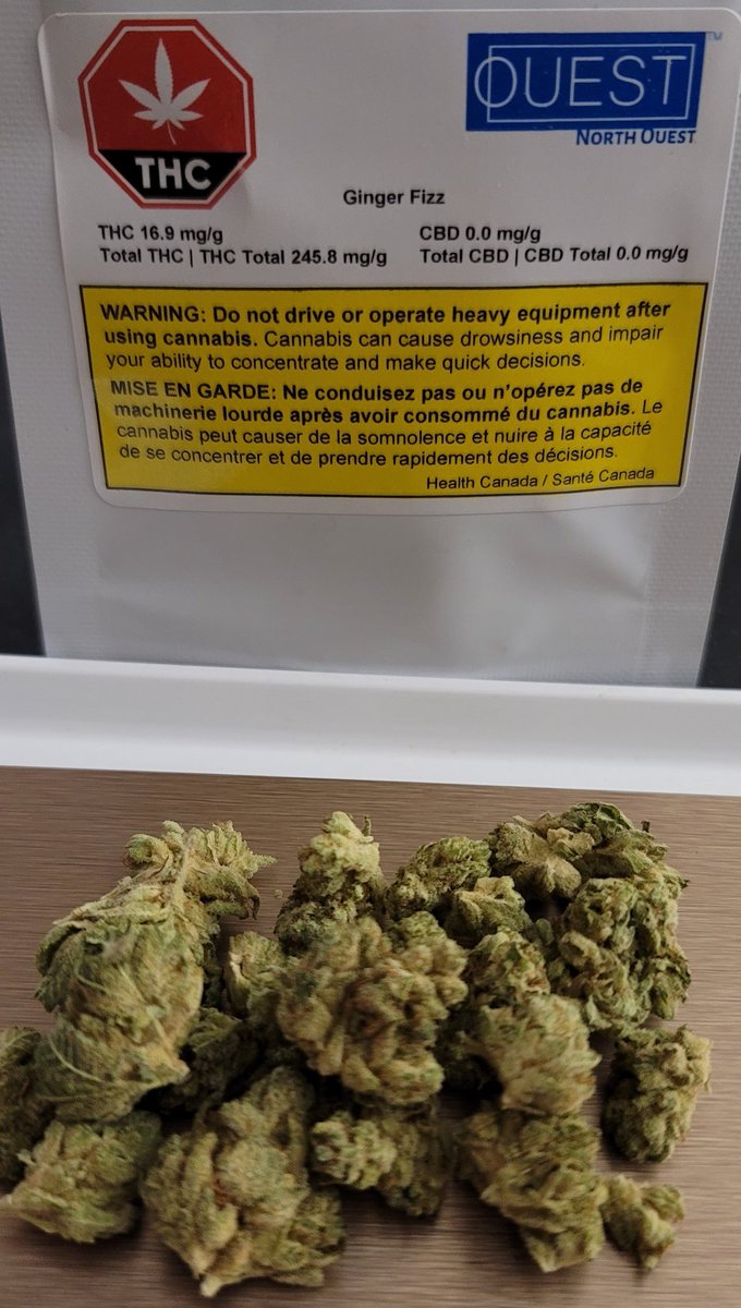 Mario204Super's tweet photo. #GINGERFIZZ from @ouestcannabis is on a whole different level. It's uniquely original traits are indescribable. 10/10 in every sense, it is #cannabis perfection. Grown with respect, care and ran by a passionate leader! A Super experience, #CannabisCommunity spread the word ππ
πΏ https://t.co/Y5OoW12EZt