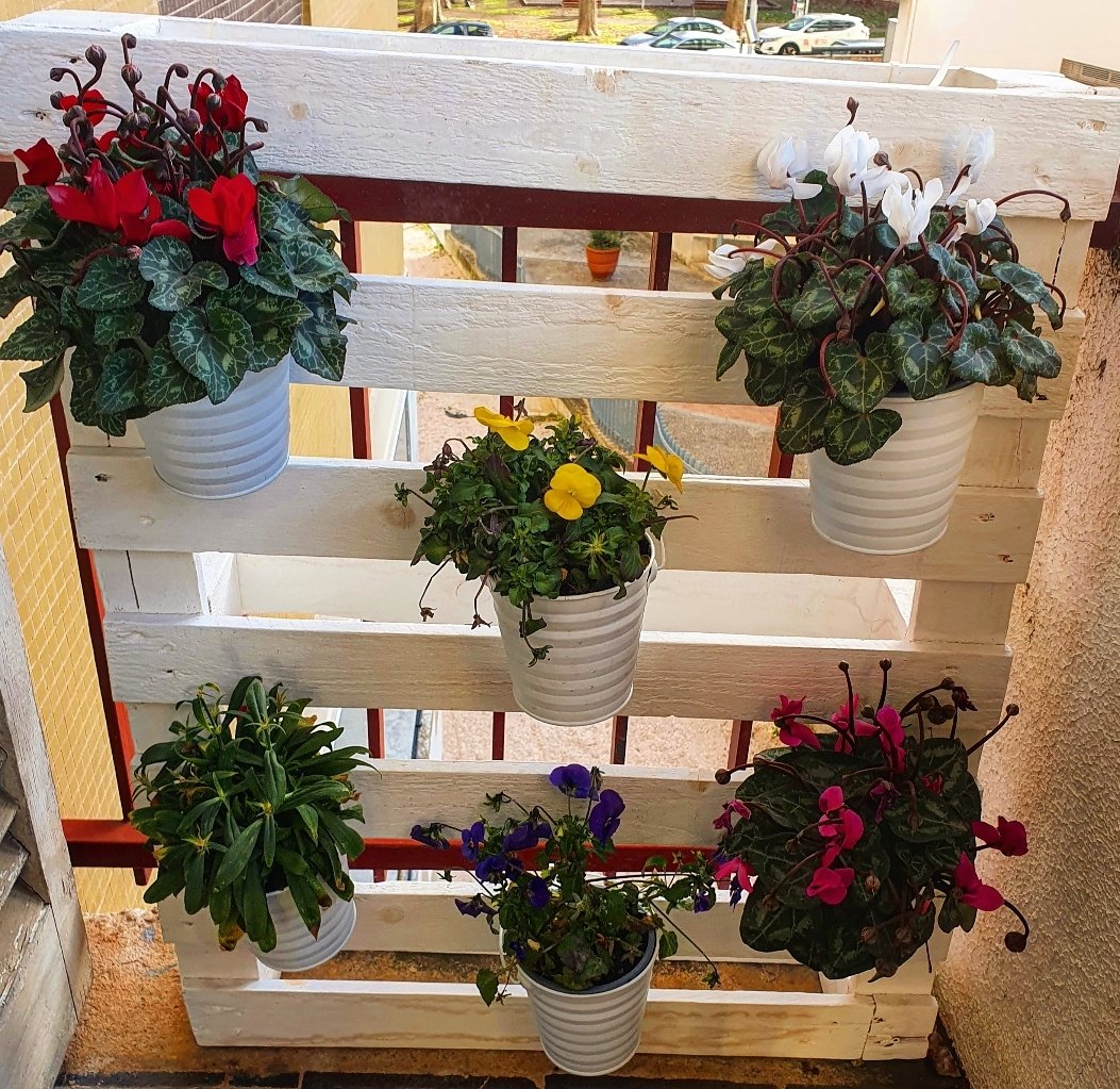 Marta Rodríguez Font tweet media