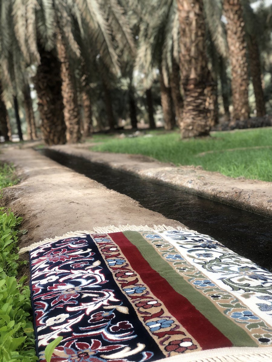 sakeenabrand's tweet photo. #سكينة في #بستان_المستظل بجوار #بئر_عذق
#المدينة_المنورة

https://t.co/Fizrm1zatV https://t.co/DIwcmDGU2m