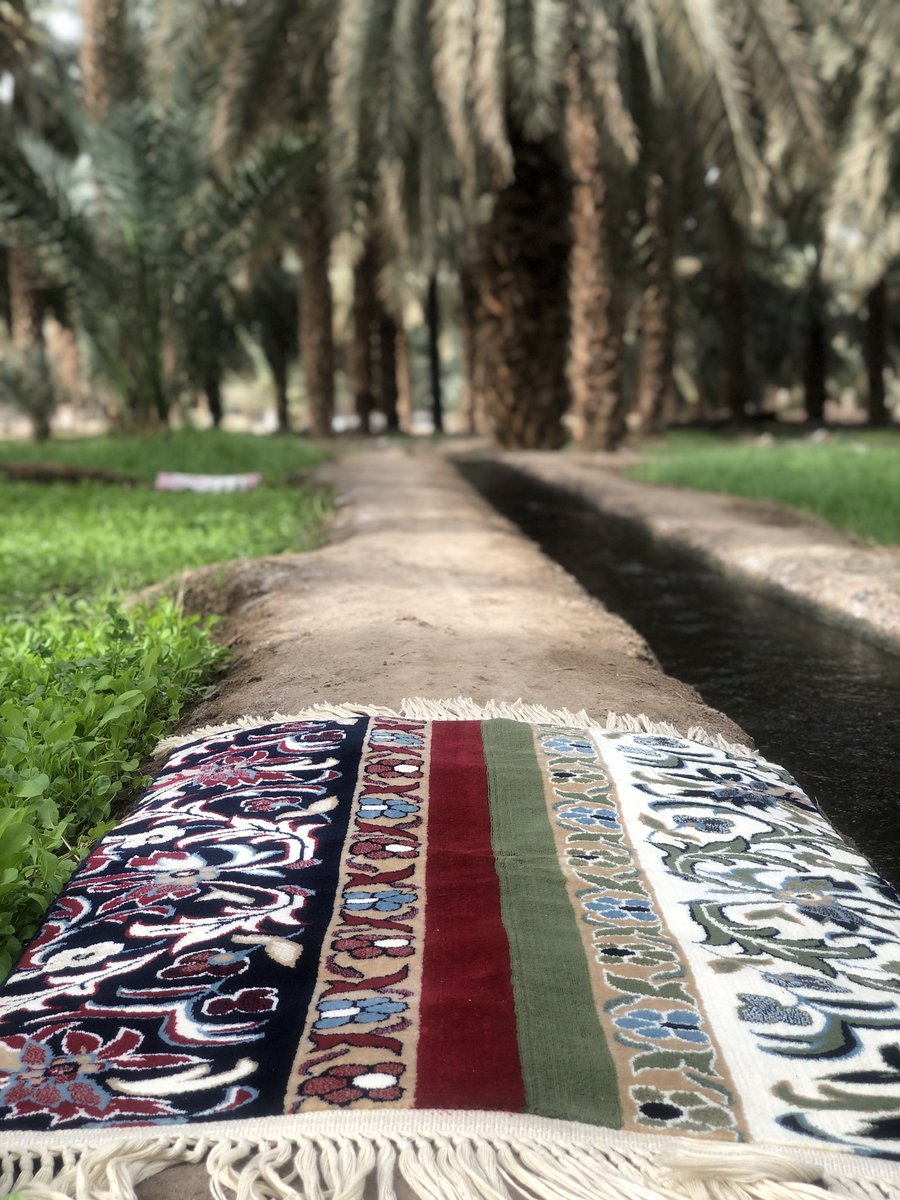 sakeenabrand's tweet photo. #سكينة في #بستان_المستظل بجوار #بئر_عذق
#المدينة_المنورة

https://t.co/Fizrm1zatV https://t.co/DIwcmDGU2m